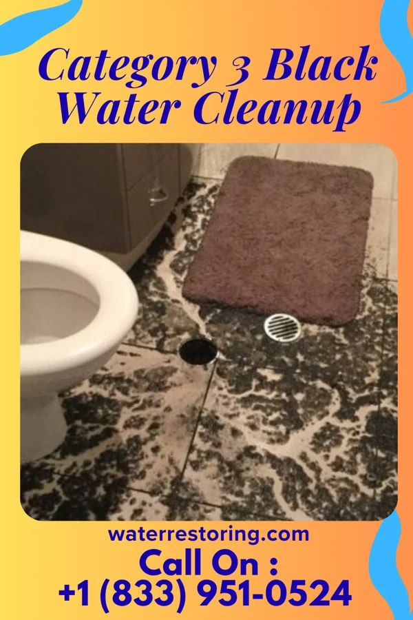 Category 3 Black Water Cleanup in Cochranton, PA