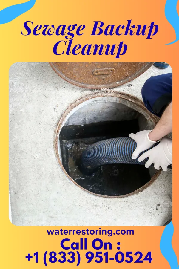 Sewage Backup Cleanup in Cochranton, PA