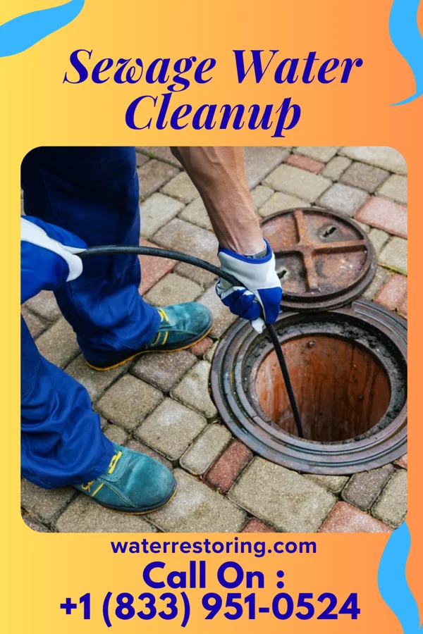 Sewage Water Cleanup in Cochranton, PA