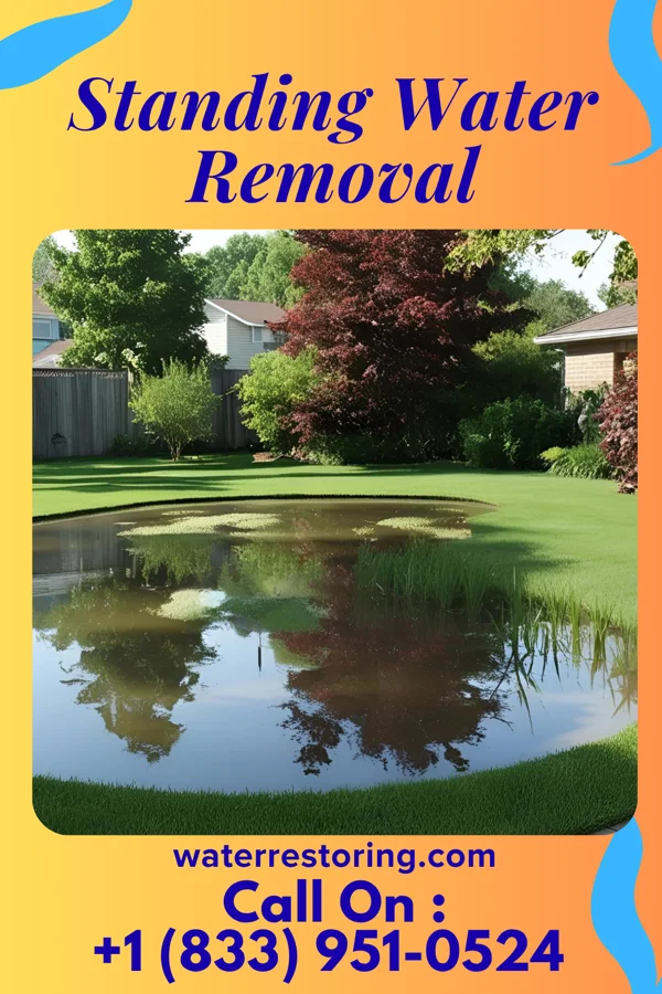 Standing Water Removal in Cochranton, PA